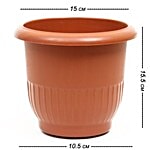 Natures Plus Planter - 007 6 pcs