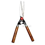 Natures Plus Headge Shear - 10 Inch 1 pc