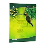 Classmate Exercise Note Book - Single Line 260 Pages 