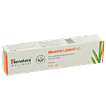 Himalaya Wellness Muscle & Joint Rub 20 g 