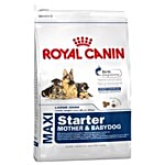 Royal Canin Dog Food - Maxi, Starter 4 kg 