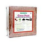 Natures Plus Coco Peat Block - Coir Fibre Dust 5 Kg