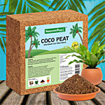 Natures Plus Coco Peat Block - Coir Fibre Dust 5 kg