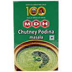 Mdh Chutney Podina Masala 100 g Pouch