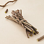 fresho! Neem Giloy (Amruta Balli) - Organically Grown 100 g