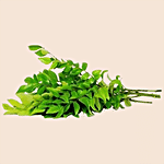 fresho! Curry Leaves - Organically Grown 100 g