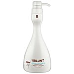 Bblunt Perfect Balance Hair Shampoo - Provitamin B5, For Normal to Dry Hair 400 ml 