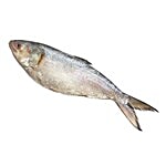 fresho! Kolkata Hilsa Fish Cut 250 g (6-8 pcs)