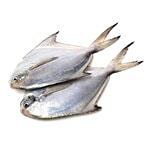 Fresho White Pomfret Large (200-250g) , Whole Cleaned 250 g (Gross Fish Weight 300-400 g, Net Weight After Cleaning 250 g)