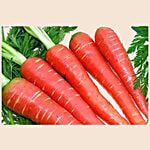 fresho! Carrot Red - Organically Grown (Loose) 500 g