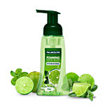 Palmolive Hydrating Lime & Mint Foaming Hand Wash 250 ml Pump