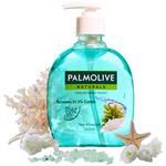 Palmolive Naturals Liquid Hand Wash - Sea Minerals, Deep Cleansing 250 ml 