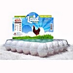 Just Laid Eggs - White, Regular 30 pcs
