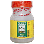 D.Bhar's Palm Candy 100 g Bottle