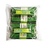 Big Blue Active Tile Brush Set 2 pcs