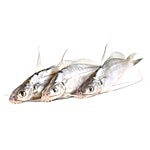 fresho! Tengra Sea Fish 250 g (5-7 pcs)