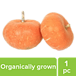 Fresho Pumpkin - Disco, Organically Grown 1 pc