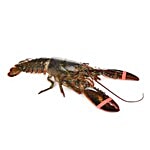 fresho! Lobster Fish 500 g