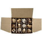 fresho! Farm Quail Eggs-Small 12 pcs