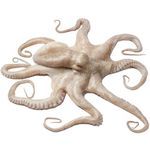 Fregona octopus 360º – VariedadMarket