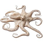 Fresho Octopus 500 g