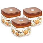 SKI Container Set - Assorted Colour, Comfort 250 ml