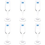 Ocean Champagne Glass - Lexington, Flute 185 ml (Set of 6)