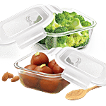 Treo Glass Container Set - Square, Store Fresh 450 ml Pack of 2