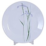 Corelle Shadow Iris Dinner Plate Set 26 cm Pack of 6