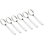 Neelam Stainless Steel Classic Master Spoon 6 pcs 