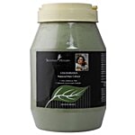 Shahnaz Husain Colourveda Natural Hair Colour 500 g 
