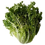 Trikaya Endive 1 pc Approx. 230-250 gm