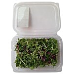 Trikaya Microgreen Mix 1 pc Approx. 40-50 gm