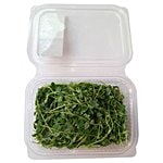 Trikaya Microgreen Peas 1 pc Approx. 40-50 gm
