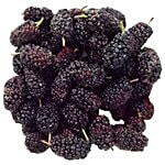 Trikaya Mulberry 1 pc Approx. 180-200 gm