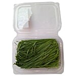 Trikaya Wheatgrass 1 pc Approx. 40-50 gm