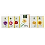 Organic Harvest Organic Shield - Anti Tan Facial Kit 50 g