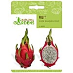 National Gardens White Dragonfruit Seeds 10 Seeds