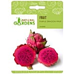 National Gardens Purple Dragonfruit Seeds 10 Seeds