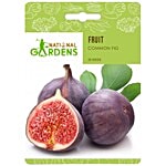 National Gardens Common Fig Fruit Seeds 20 Seeds