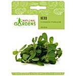 National Gardens Common Purslane Herb Seeds 100 Seeds