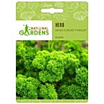 National Gardens Moss Curled Parsley Herb Seeds 50 Seeds