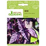 National Gardens Dark Opal Basil Herb Seeds 50 Seeds
