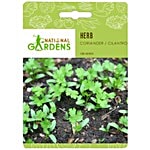 National Gardens Coriander/Cilantro Herb Seeds 100 Seeds