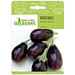 National Gardens Long Purple Brinjal Seeds 100 Seeds