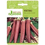 National Gardens Exotic Red Ladies Finger Seeds 10 Seeds