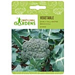 National Gardens Exotic Early Fall Rapini Broccoli Seeds 60 Seeds