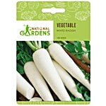 National Gardens White Radish Seeds 100 Seeds