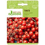 National Gardens Large Cherry Tomato Seeds 30 Seeds