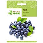 National Gardens Blueberry Fruit Seeds 10 Seeds